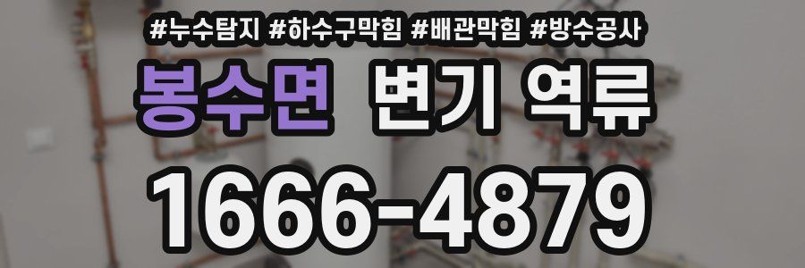 봉수면 변기 역류
