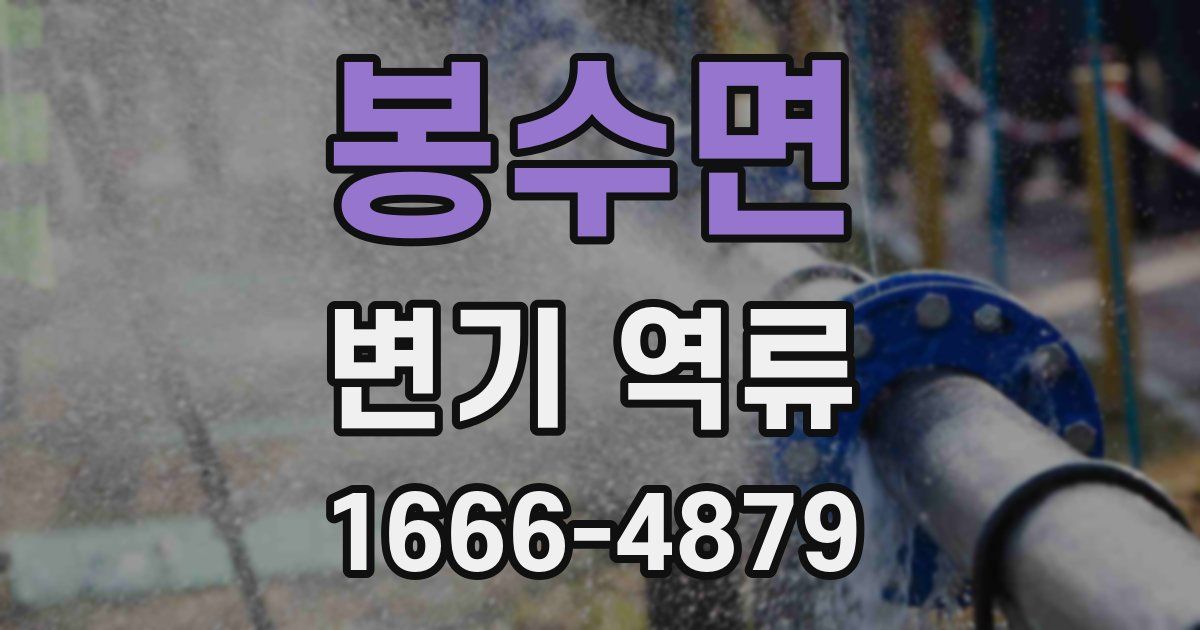 봉수면 변기 역류