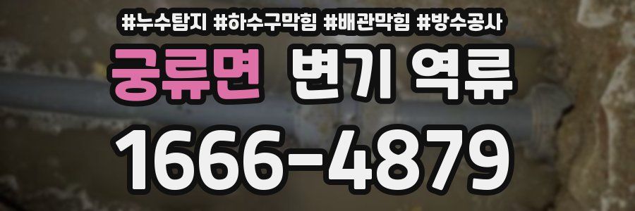 궁류면 변기 역류
