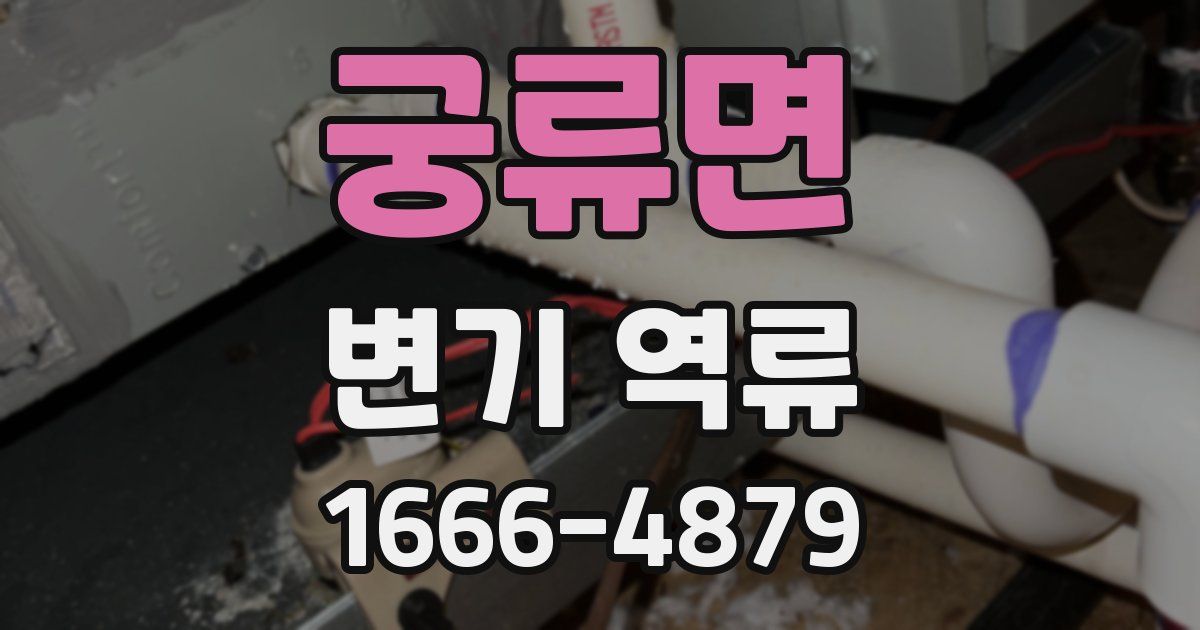 궁류면 변기 역류