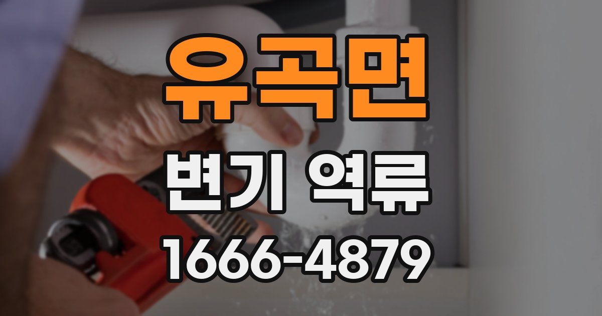 유곡면 변기 역류