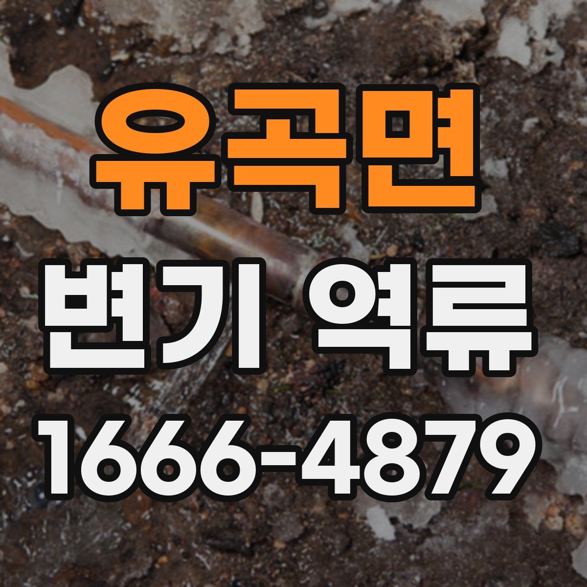 유곡면 변기 역류