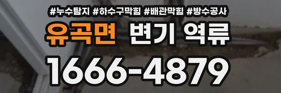 유곡면 변기 역류