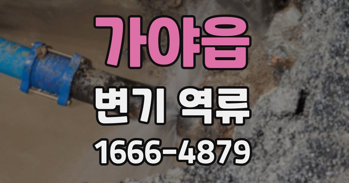 가야읍 변기 역류