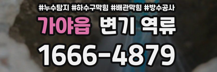 가야읍 변기 역류