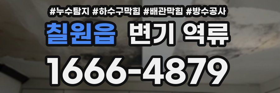 칠원읍 변기 역류