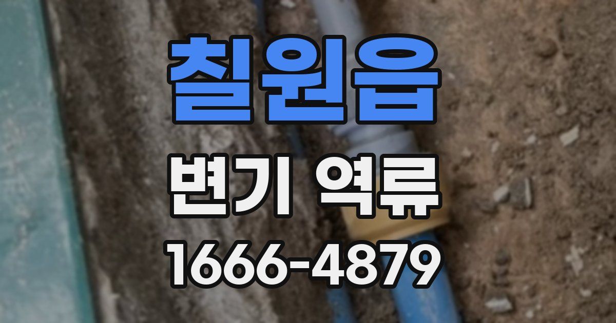 칠원읍 변기 역류