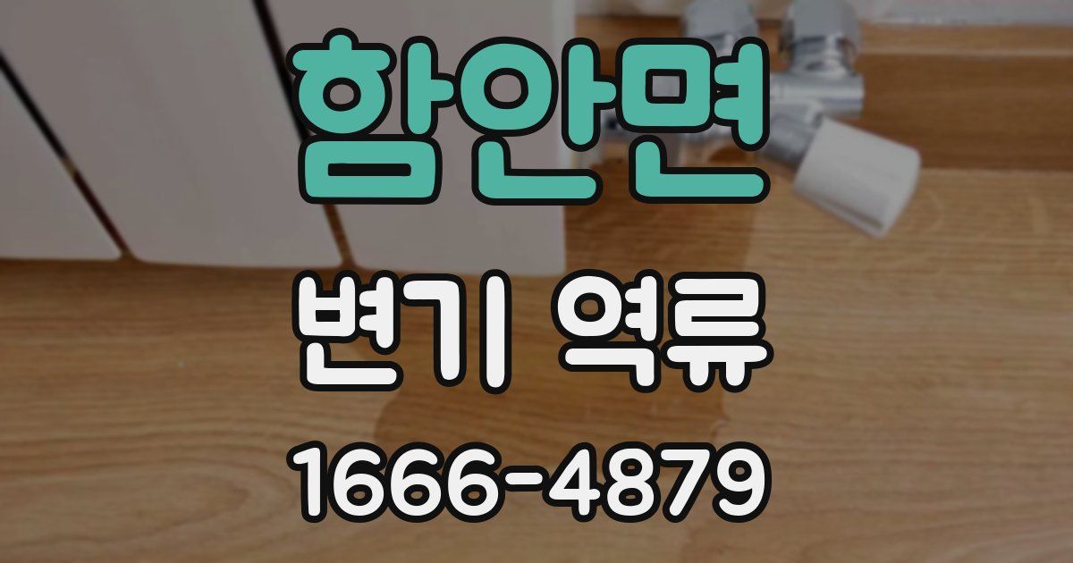 함안면 변기 역류