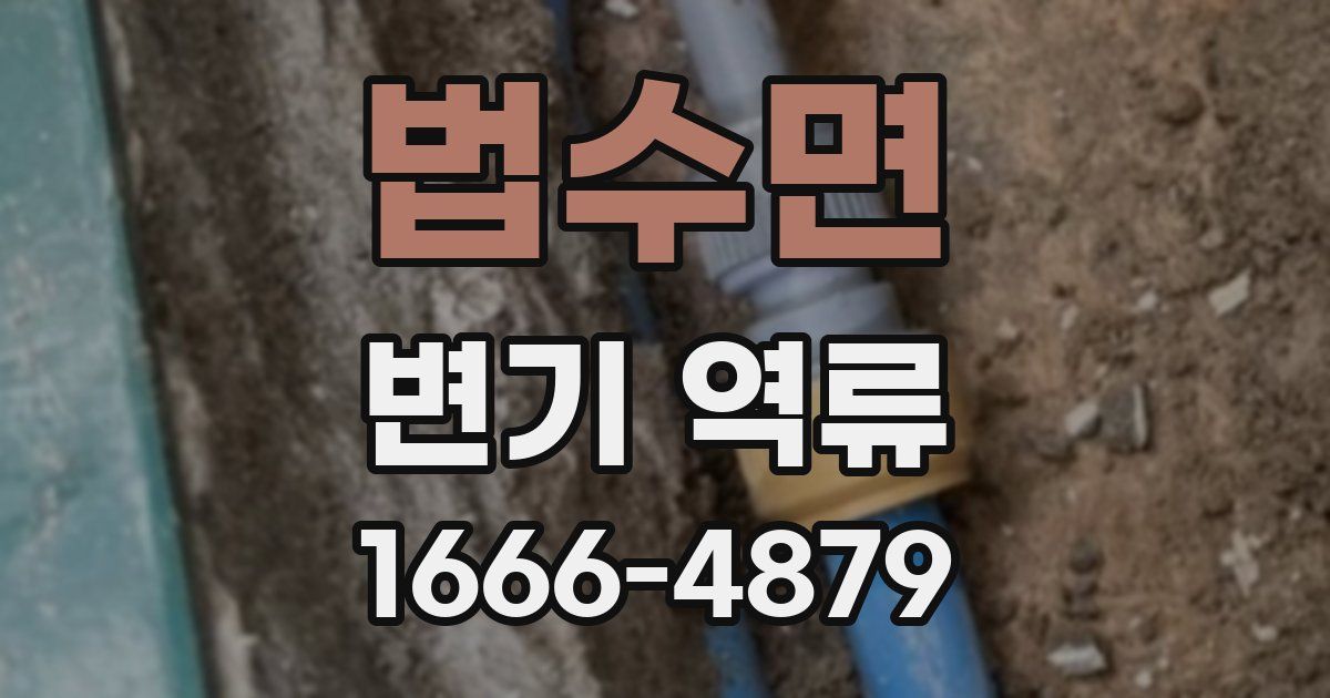법수면 변기 역류