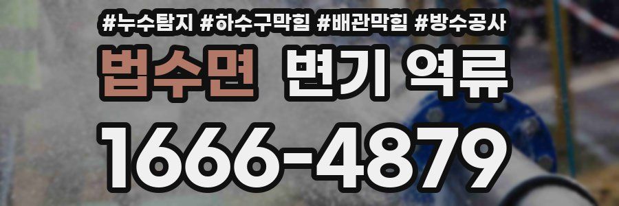 법수면 변기 역류