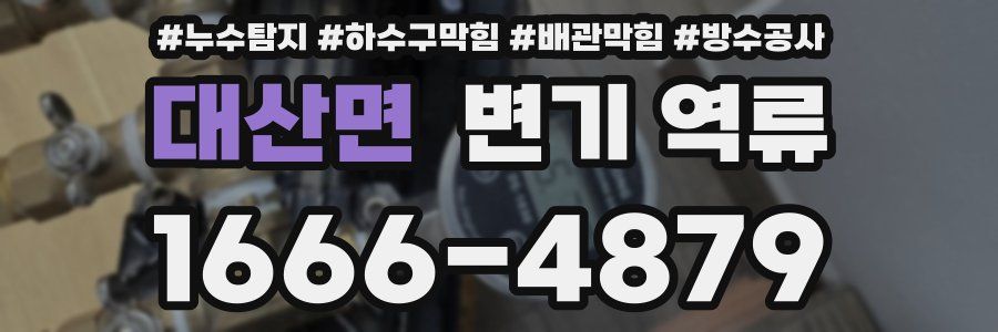대산면 변기 역류