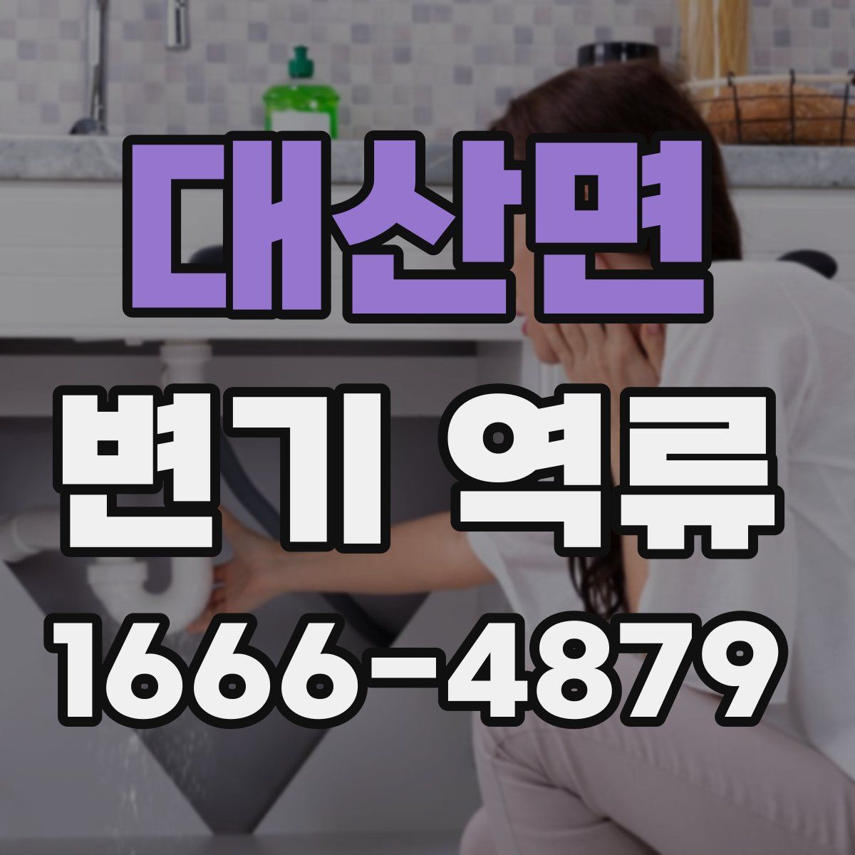 대산면 변기 역류