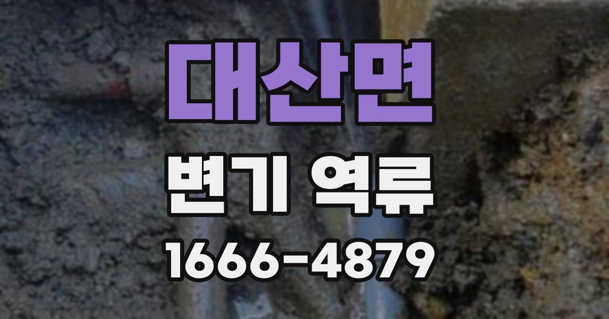 대산면 변기 역류
