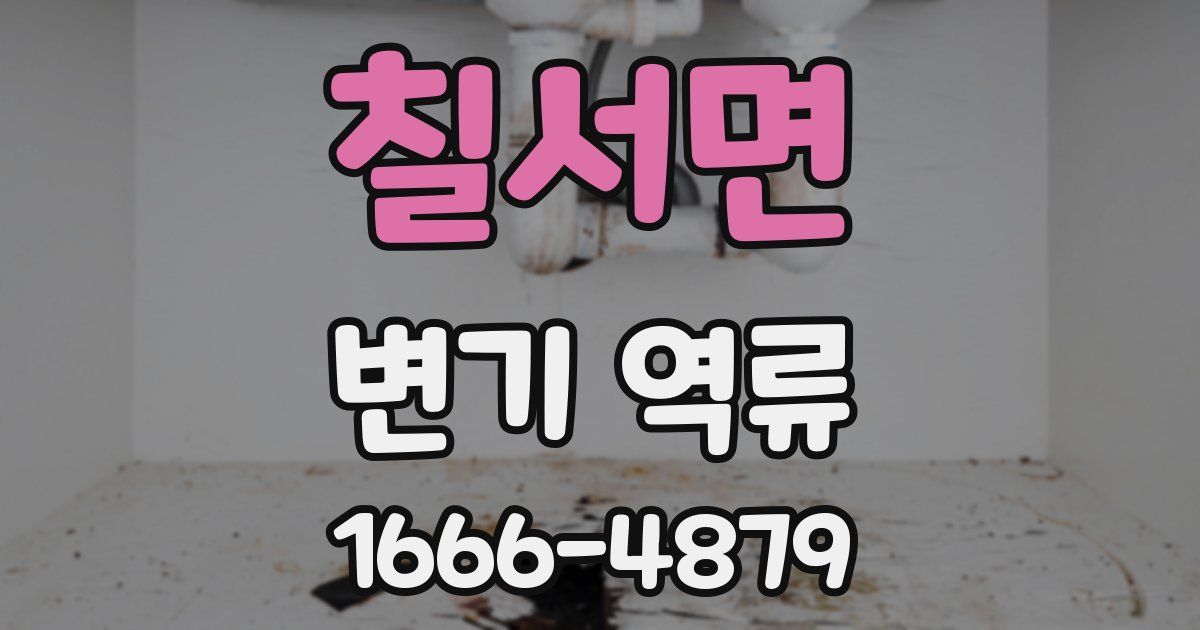 칠서면 변기 역류