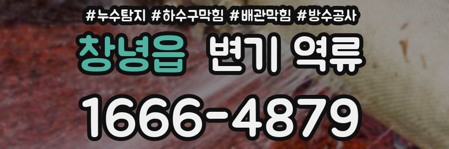 창녕읍 변기 역류