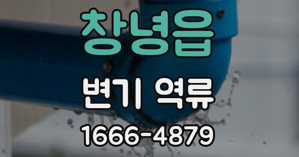 창녕읍 변기 역류