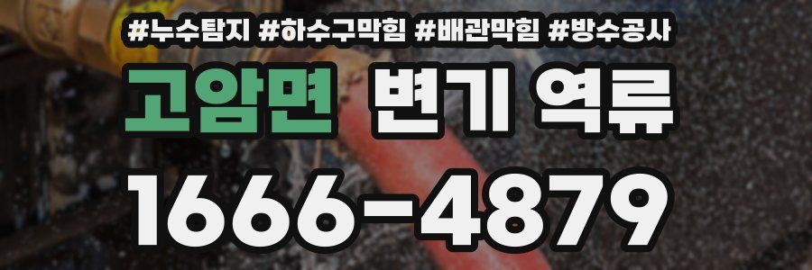 고암면 변기 역류
