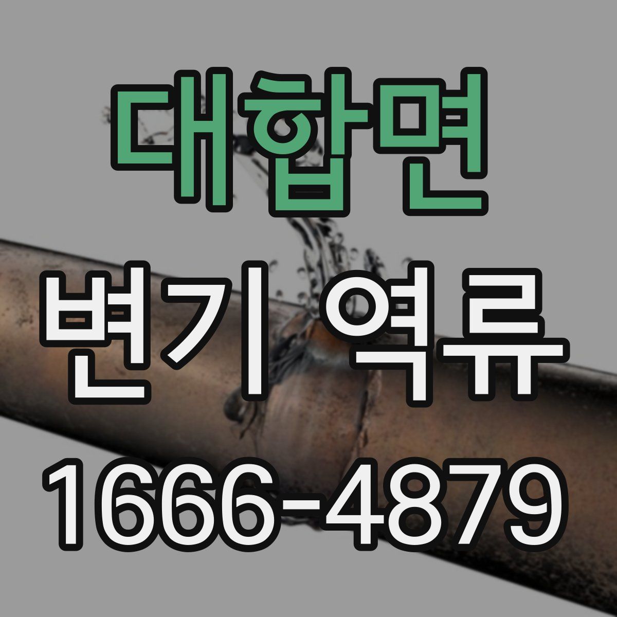 대합면 변기 역류
