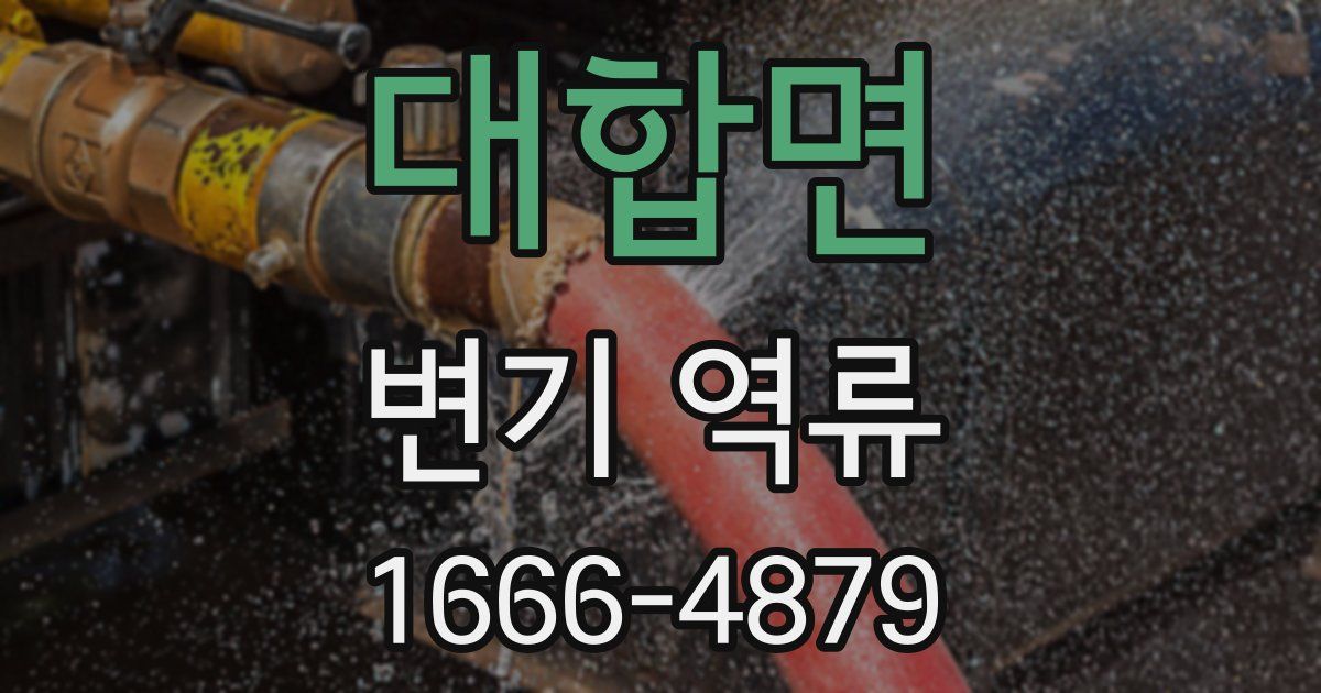 대합면 변기 역류