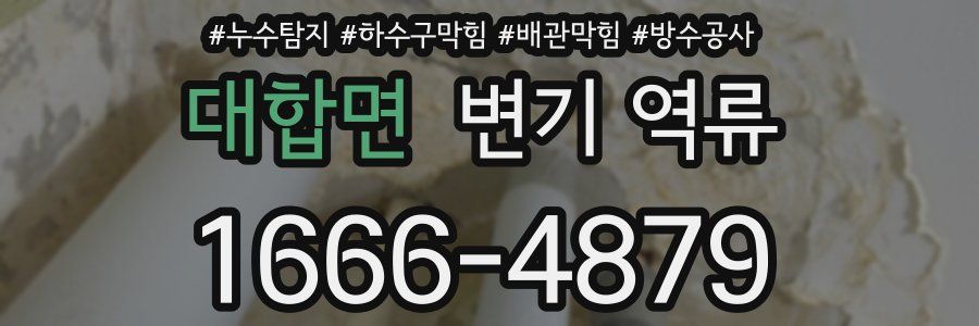 대합면 변기 역류