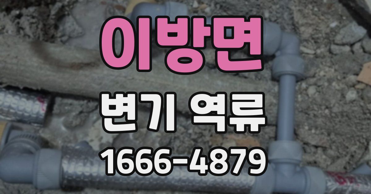 이방면 변기 역류