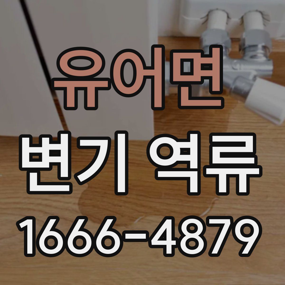 유어면 변기 역류