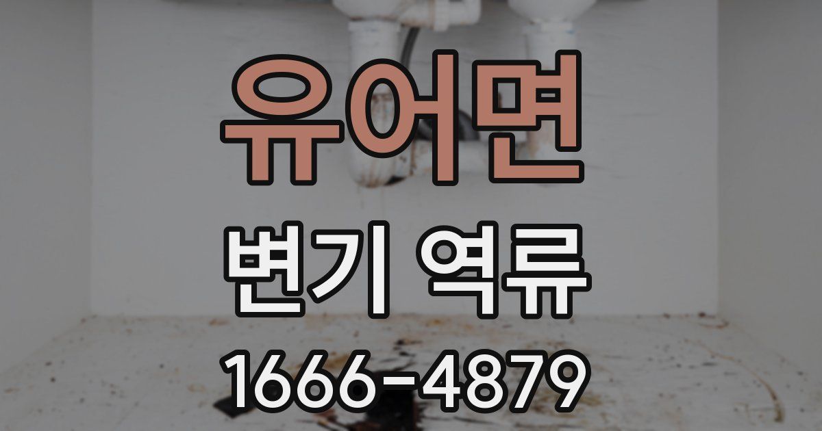유어면 변기 역류