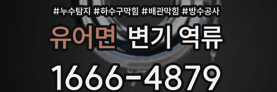 유어면 변기 역류