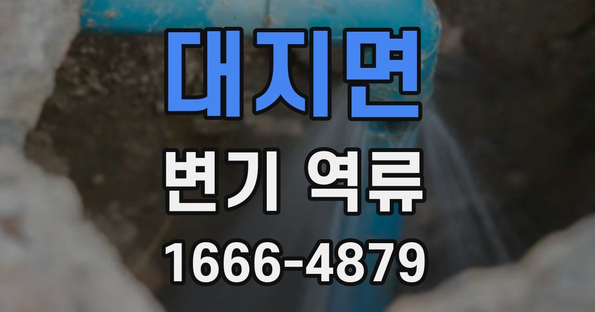 대지면 변기 역류
