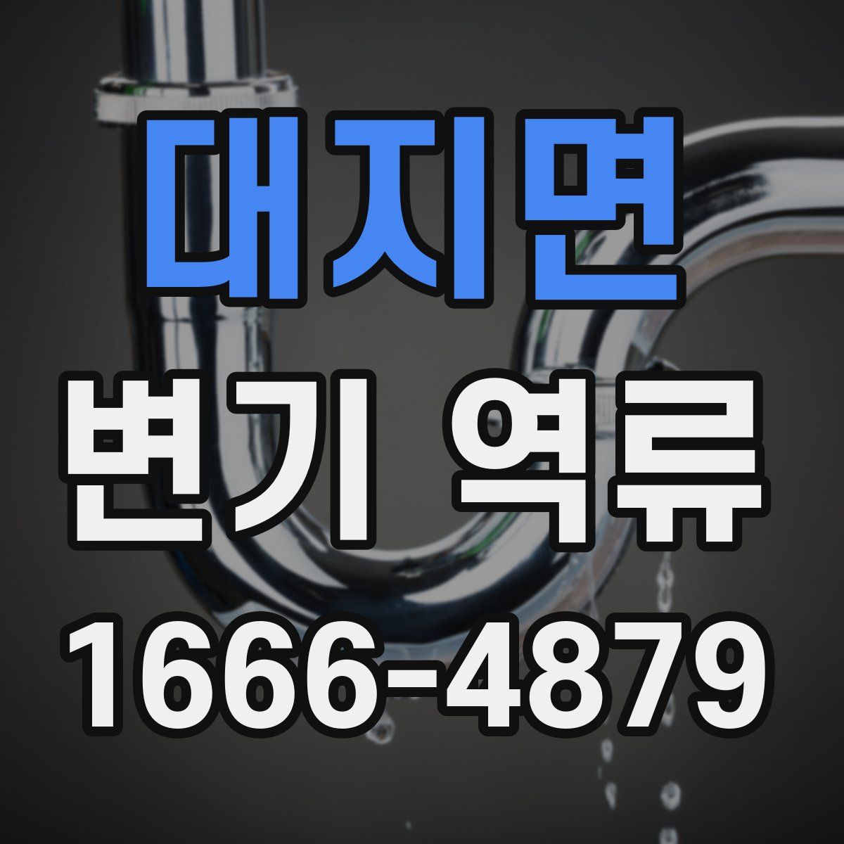 대지면 변기 역류