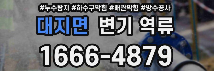 대지면 변기 역류