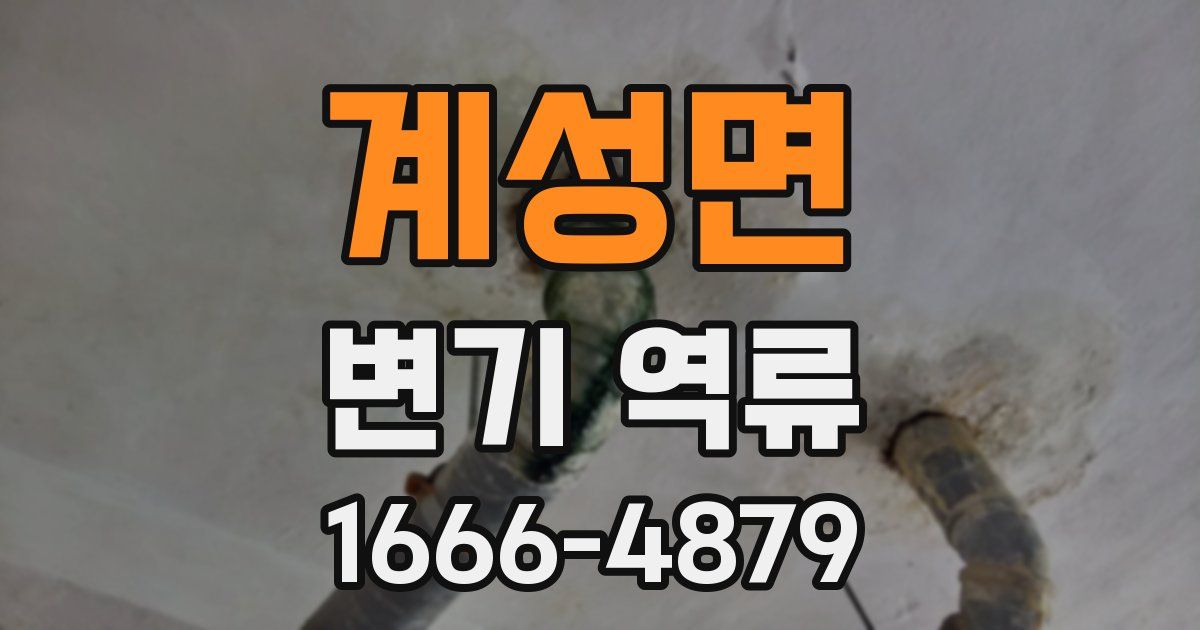 계성면 변기 역류