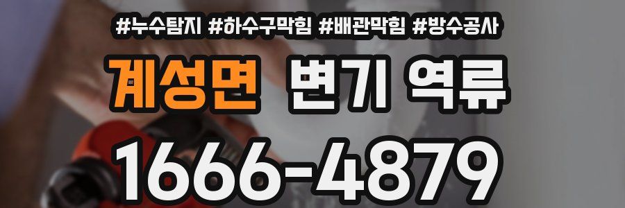 계성면 변기 역류