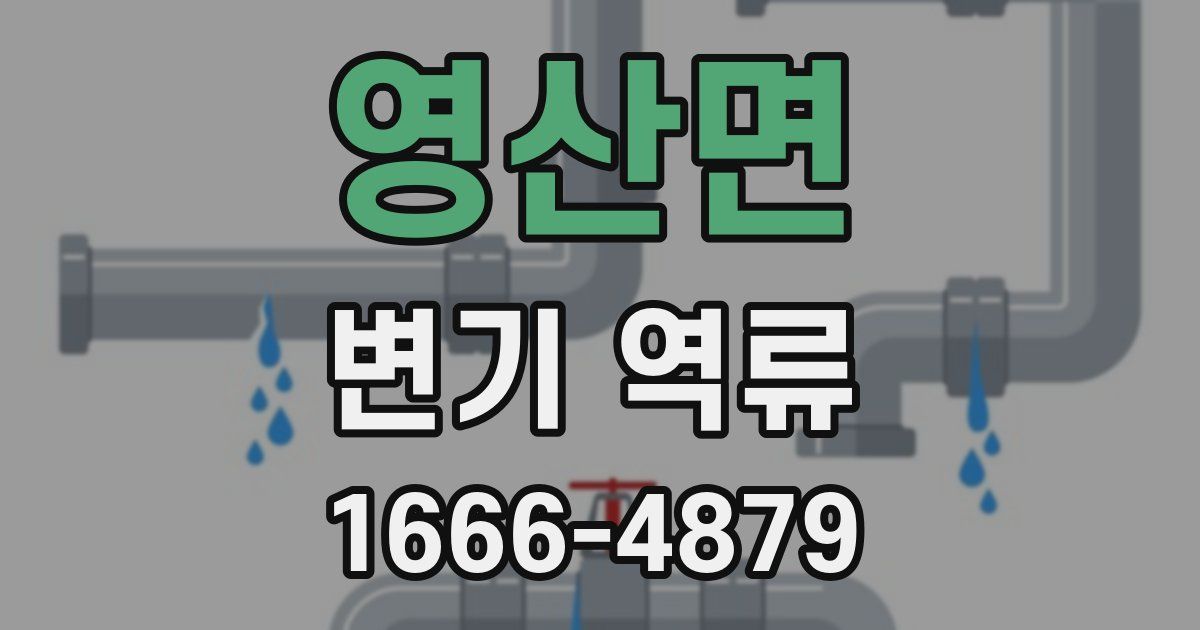 영산면 변기 역류