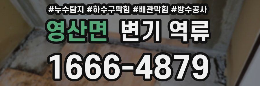 영산면 변기 역류