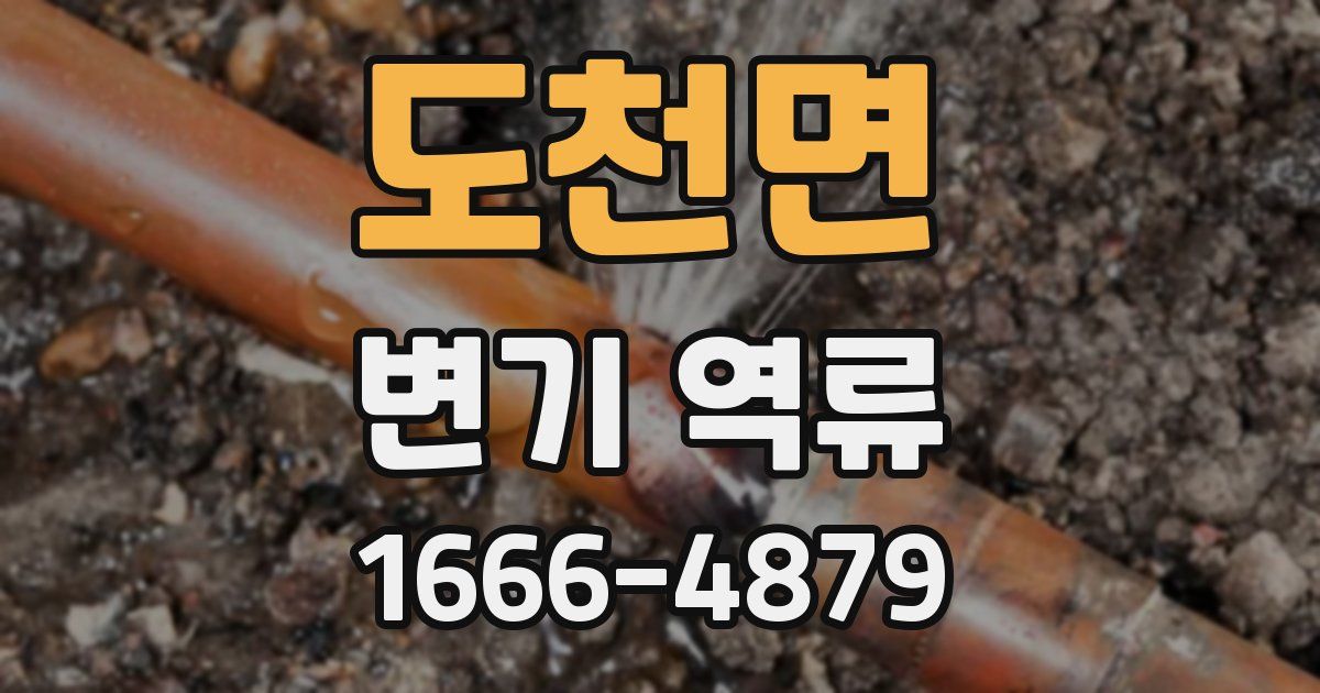 도천면 변기 역류