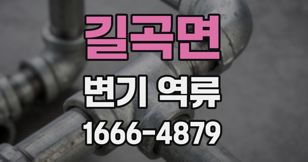 길곡면 변기 역류