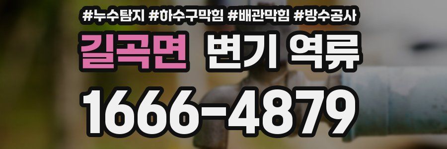 길곡면 변기 역류