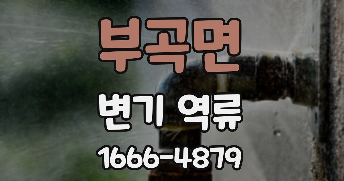 부곡면 변기 역류