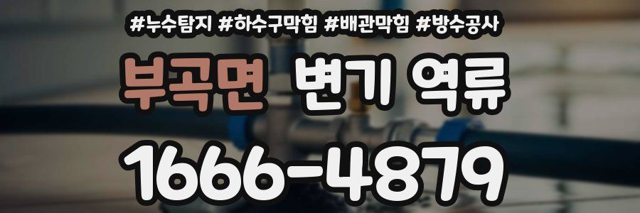 부곡면 변기 역류