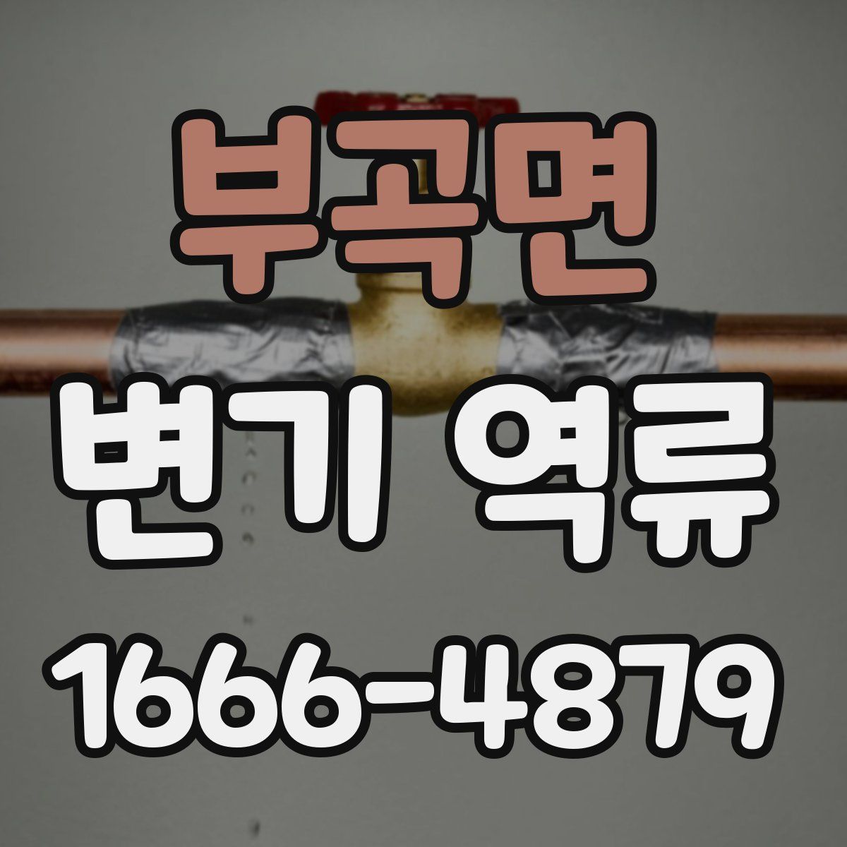 부곡면 변기 역류