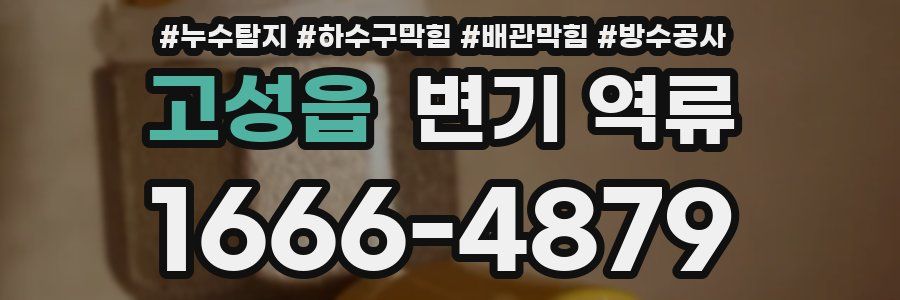고성읍 변기 역류
