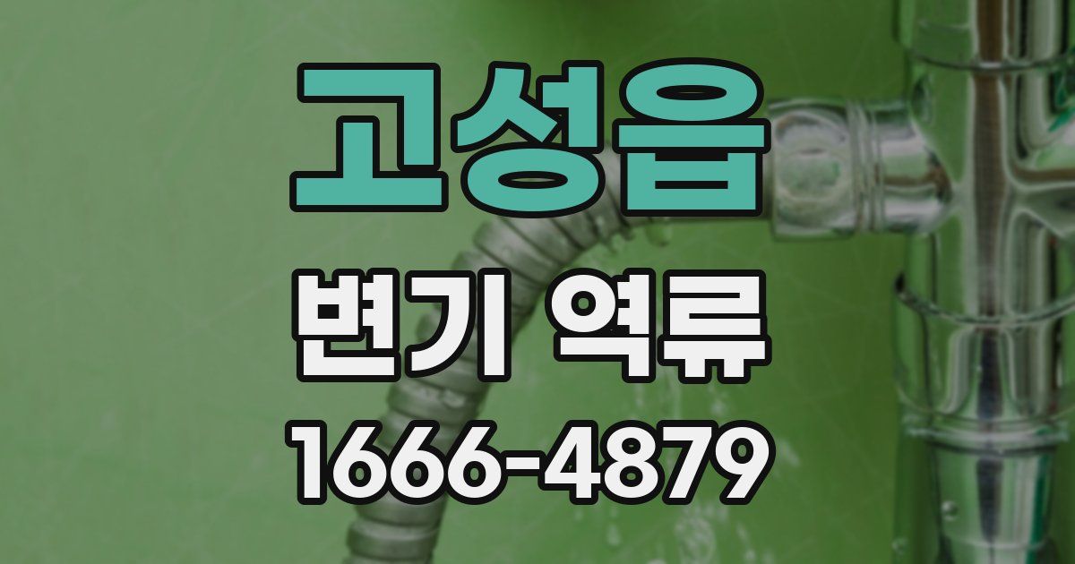 고성읍 변기 역류