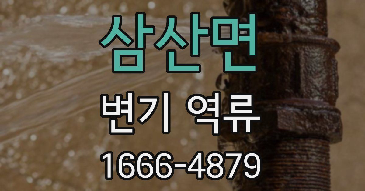 삼산면 변기 역류