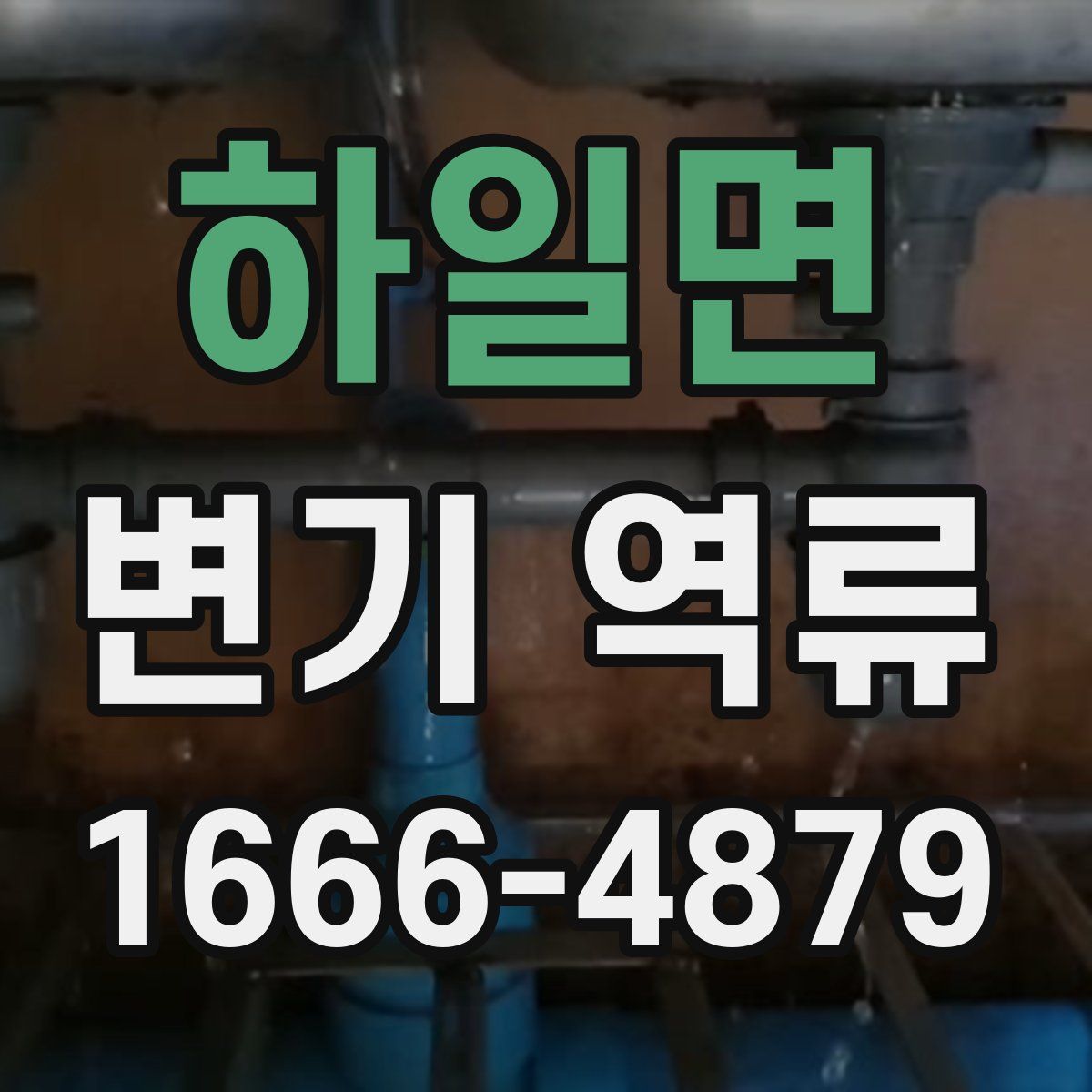 하일면 변기 역류