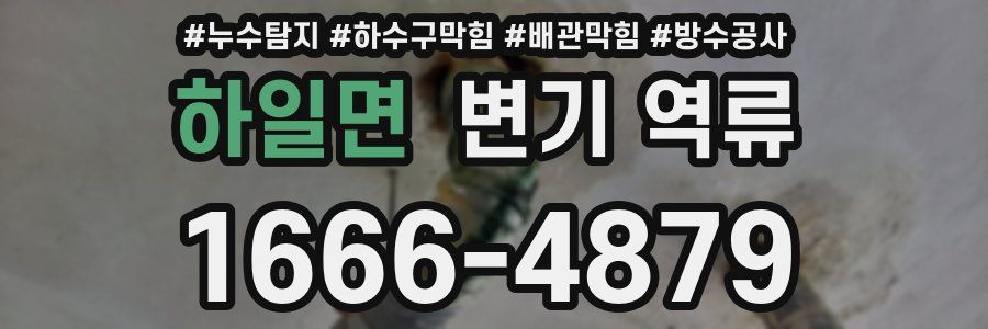 하일면 변기 역류