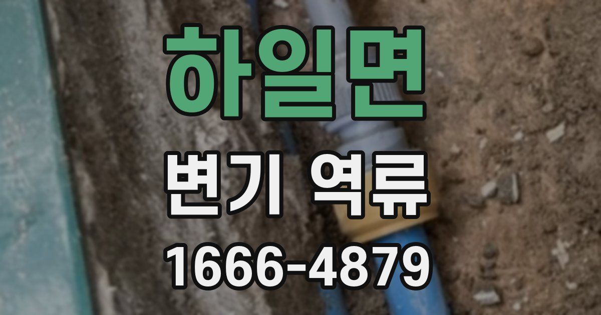 하일면 변기 역류