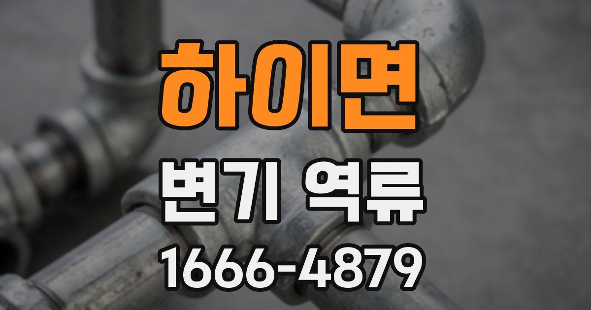 하이면 변기 역류