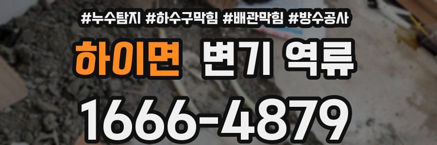 하이면 변기 역류