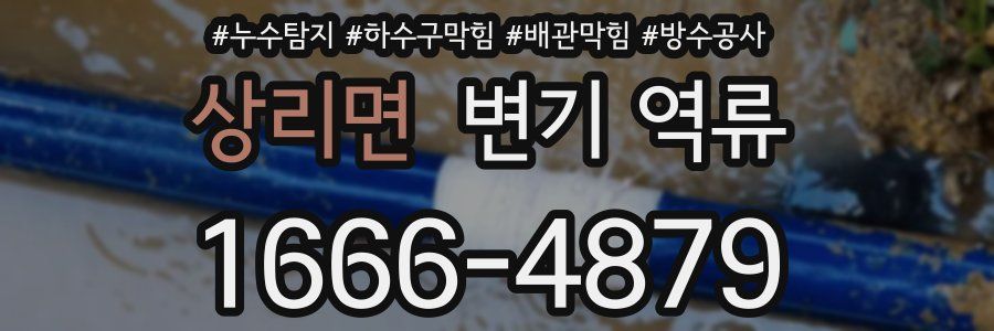 상리면 변기 역류